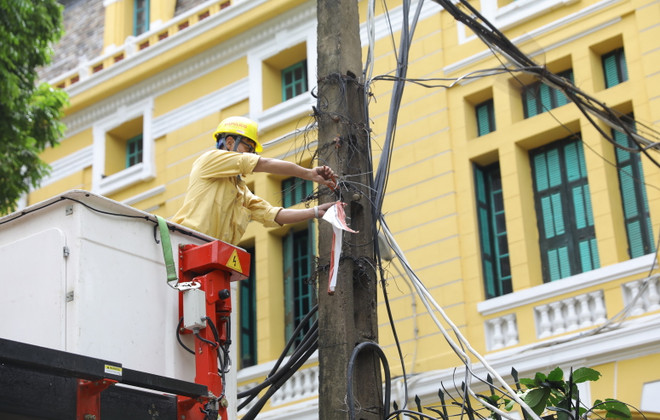 Hà Nội: Cây to bật gốc đè sập tường, chắn ngang phố Hỏa Lò ảnh 7
