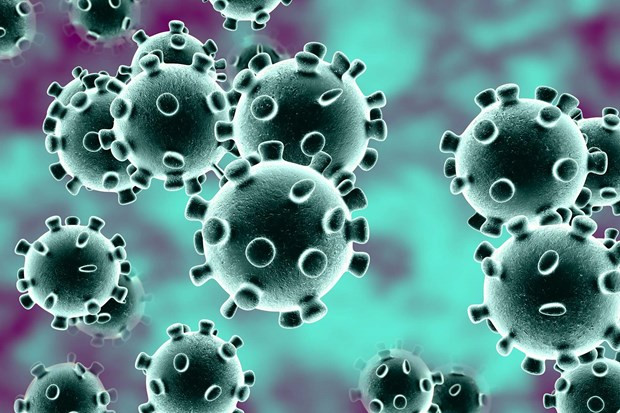 Ảnh chỉ có tính minh họa. (Nguồn: The Olive Press) Bộ Y tế Brazil phát hiện ca nhiễm virus SARS-CoV-2 đầu tiên ảnh 1