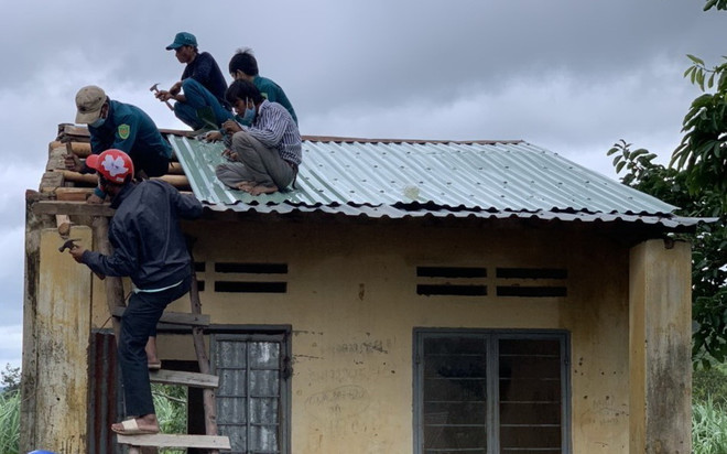 Gia Lai: Bão số 5 làm 1 người tử vong, thiệt hại hàng trăm ha hoa màu ảnh 2