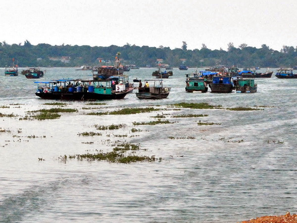Quảng Ninh: Tạo đà để huyện đảo Cô Tô vươn ra biển lớn ảnh 1