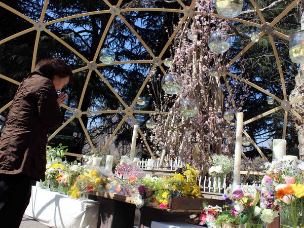 Hòa nhạc tưởng niệm nạn nhân thảm họa kép ở Nhật ảnh 1