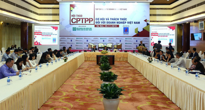 Thiếu liên kết, doanh nghiệp sẽ khó thu lợi từ Hiệp định CPTPP ảnh 1