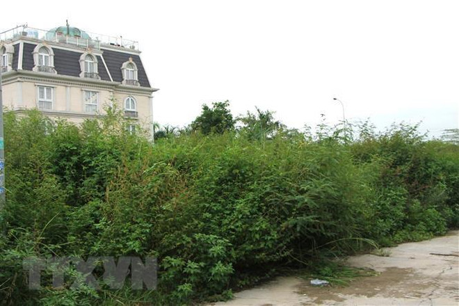 Thành phố Hồ Chí Minh đề xuất tháo gỡ vướng mắc về đất đai ảnh 2