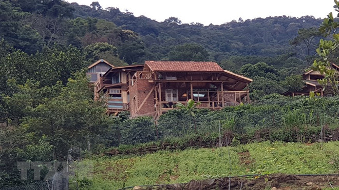 Lâm Đồng: Xử lý dứt điểm 'làng biệt thự' xây dựng trên đất rừng có chủ ảnh 1