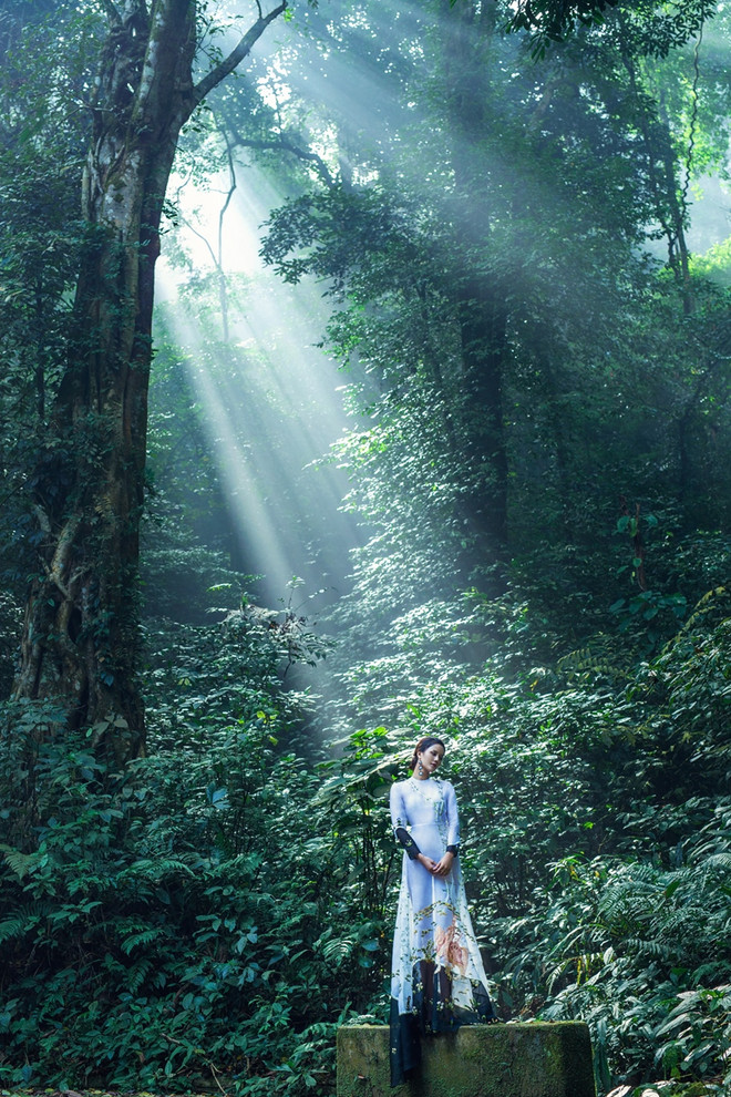 Phái đẹp khoe trọn đường cong nóng bỏng với thiết kế của Trần Hùng ảnh 6