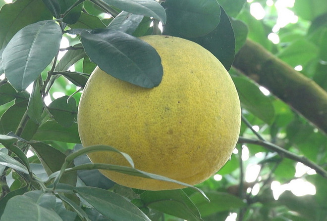 Tổ chức Ngày hội khám phá Danh thắng Quốc gia hồ Thác Bà ảnh 2