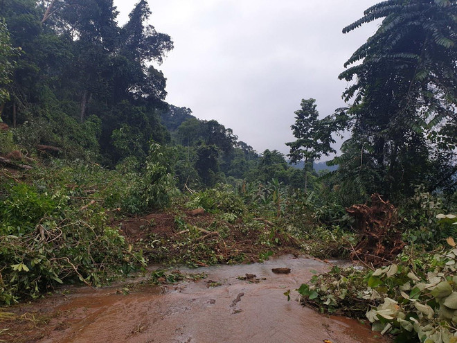 Nhà máy thủy điện Đắk Sin 1 bị ngập lụt, phải dừng hoạt động ảnh 1