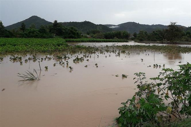 Lũ quét gây thiệt hại nặng nề cho vùng nông nghiệp công nghệ cao ảnh 1