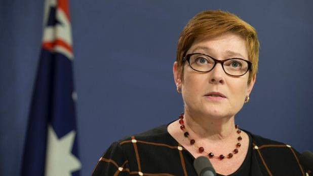 'Australia có thể tham gia các cuộc tấn công của Mỹ chống Syria' ảnh 1