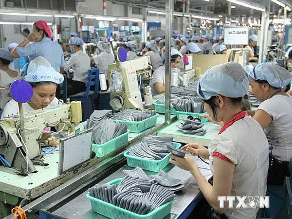 Xuất khẩu của Việt Nam sang Brazil tăng mạnh trong 6 tháng ảnh 1