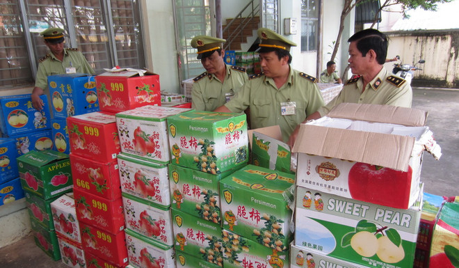 Thu giữ gần 1 tấn trái cây Trung Quốc và nửa tấn nội tạng "bẩn" ảnh 1