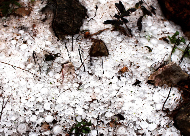 Mưa đá bất thường kèm theo lốc xoáy gây thiệt hại tại Hà Giang ảnh 1