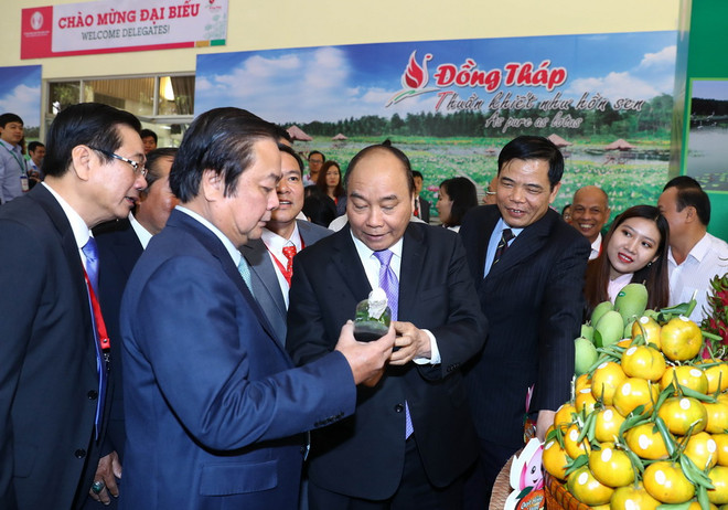 Thủ tướng: Đồng Tháp là 'ngôi sao sáng' về môi trường kinh doanh ảnh 3