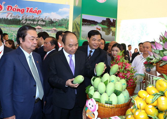 Thủ tướng: Đồng Tháp là 'ngôi sao sáng' về môi trường kinh doanh ảnh 2