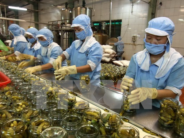 Chế biến nông sản xuất khẩu. (Ảnh: Vũ Sinh/TTXVN) Kim ngạch thương mại giữa Hàn Quốc-Việt Nam tăng trưởng nhanh ảnh 1