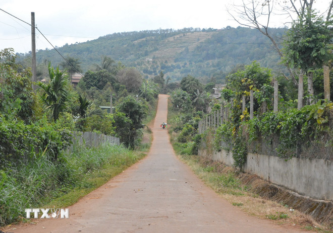 (Kaynak: VNA) ttxvn-dan-toc-dak-lak-3-9988.jpg