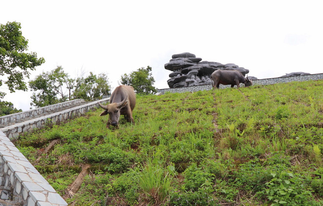 Di dời hai hộ dân dựng nhà phía sau Di tích Tượng đài Kéo pháo ảnh 2