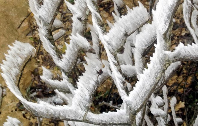 Nhiệt độ miền Bắc xuống rất thấp, vùng núi có khả năng mưa tuyết ảnh 1