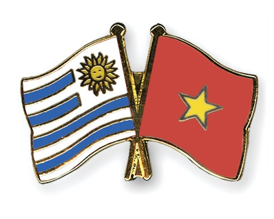 Khai trương Văn phòng Lãnh sự quán Đông Uruguay tại TP.HCM ảnh 1