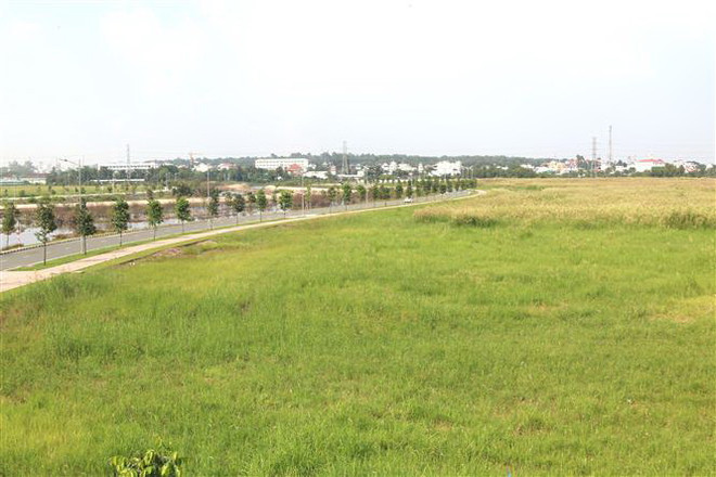 Buông lỏng quản lý đất đai tại TP Hồ Chí Minh: Muôn hình vi phạm ảnh 2