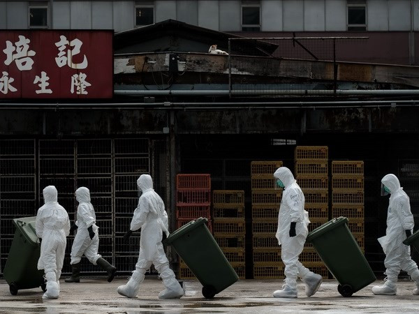 Trung Quốc xác nhận thêm hai ca nhiễm cúm H7N9 ảnh 1