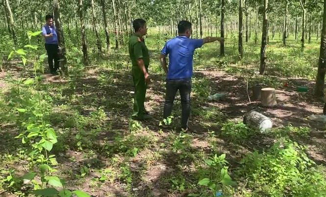 Bình Phước: Hai anh em ruột đánh nhau, người anh tử vong ảnh 1