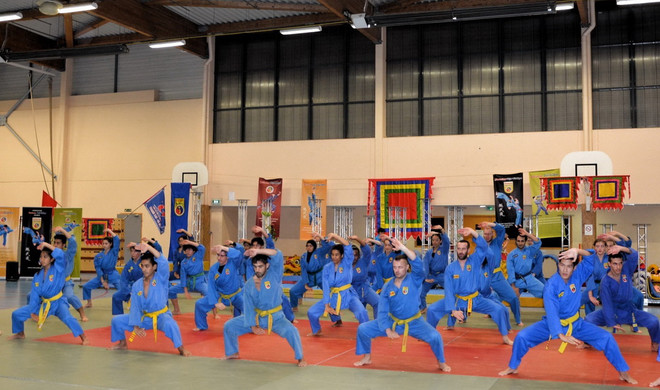 Quảng bá múa Lân Sư Rồng Việt Nam ra với cộng đồng quốc tế ảnh 1