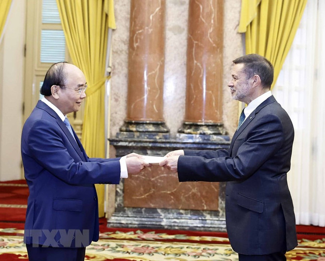 Chủ tịch nước tiếp các Đại sứ Hà Lan, Hungary, Australia và Luxembourg ảnh 3