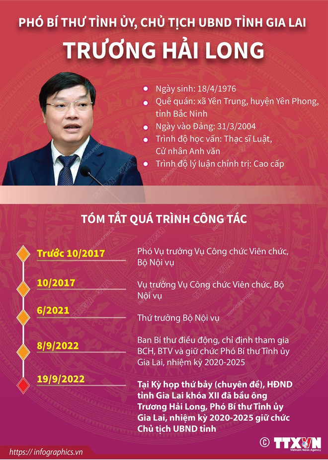 Thông tin về Phó Bí thư Tỉnh ủy, Chủ tịch tỉnh Gia Lai Trương Hải Long ảnh 1
