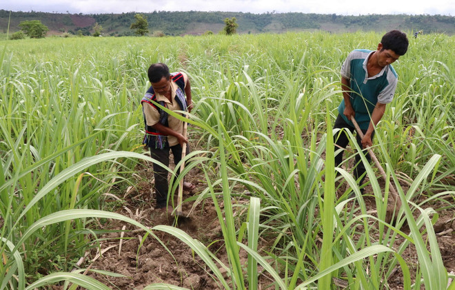 ttxvn_giam ngheo.jpg