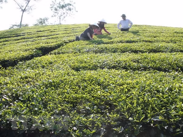 Phê duyệt nhiệm vụ lập Quy hoạch vùng trung du và miền núi phía Bắc ảnh 2