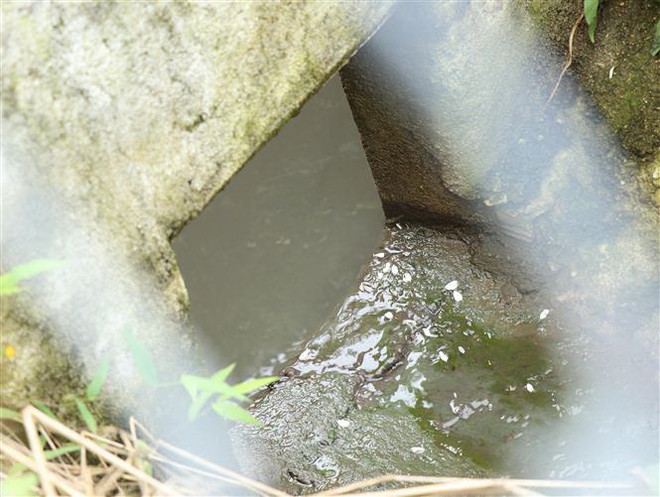 Gia Lai: Nhiều trang trại chăn nuôi vi phạm về bảo vệ môi trường ảnh 1