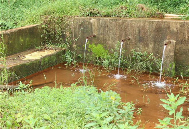 Gia Lai: Nhiều trang trại chăn nuôi vi phạm về bảo vệ môi trường ảnh 3