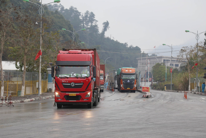 Phương tiện nhập cảnh vào Việt Nam qua cửa khẩu Quốc tế Hữu Nghị (Lạng Sơn) tuân thủ mọi quy định về kiểm dịch. (Ảnh: Quang Duy/TTXVN) Khôi phục hoạt động xuất nhập khẩu, xuất nhập cảnh ở Cửa khẩu Hữu Nghị ảnh 1