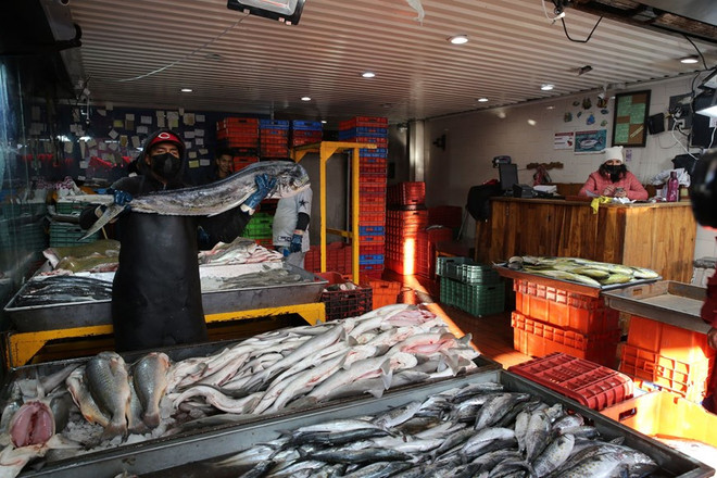 Mexico sắp khởi công hệ thống điện Mặt Trời tại Central de Abasto ảnh 1