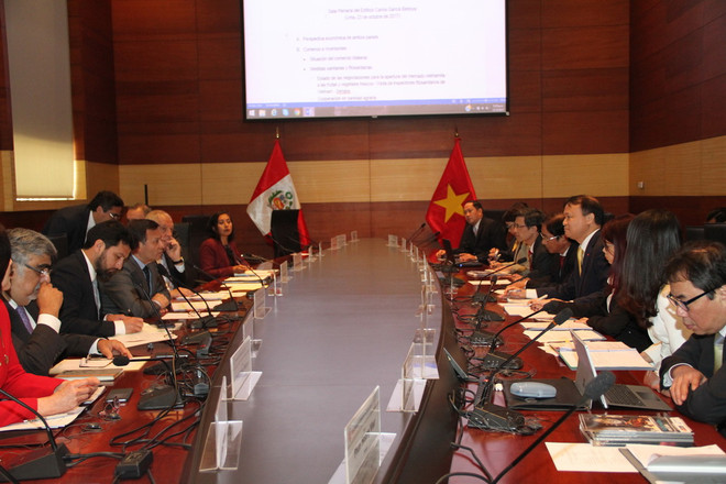 Kỳ họp lần thứ nhất Ủy ban liên Chính phủ Việt Nam-Peru về các vấn đề kinh tế và hợp tác kỹ thuật. (Ảnh: Diệu Hương/Vietnam+) Kỳ họp lần thứ nhất Ủy ban liên Chính phủ Việt Nam-Peru tại Lima ảnh 1