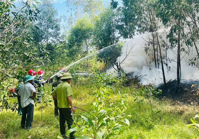Quảng Ngãi: Cảnh báo nguy cơ cháy rừng ở cấp cực kỳ nguy hiểm ảnh 1