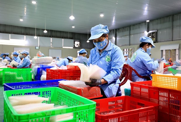 Malaysia hiện là đối tác thương mại lớn thứ hai của Việt Nam trong ASEAN. (Ảnh: Hồng Đạt/TTXVN) Đưa quan hệ Việt Nam-Malaysia đi vào thực chất, hiệu quả hơn ảnh 3