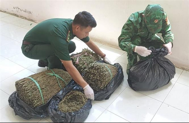 An Giang: Phát hiện vụ vận chuyển hơn 18kg cần sa qua biên giới ảnh 1