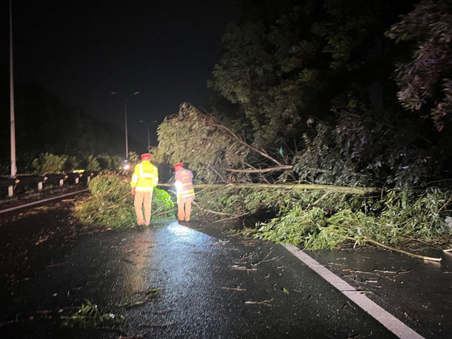 Nhiều cây xanh trên tuyến Pháp Vân-Cầu Giẽ bị gãy đổ do mưa lớn ảnh 1