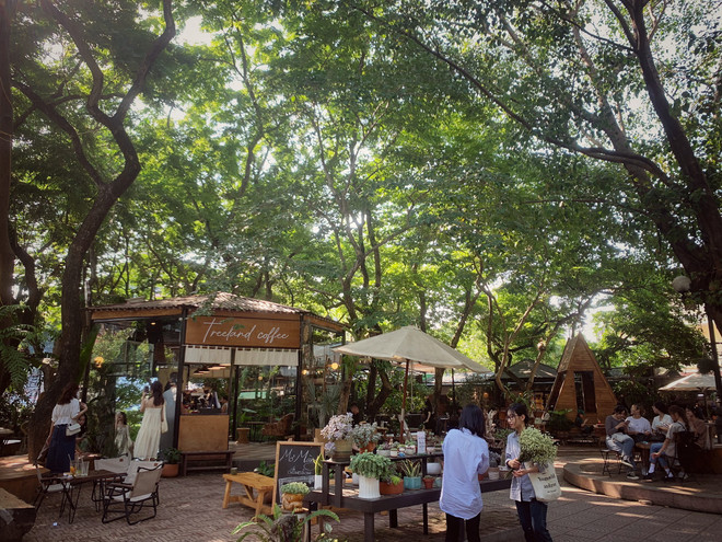 Những quán càphê độc đáo và thú vị trong lòng Hà Nội ảnh 4