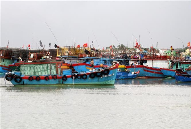 Thanh Hóa đến Bình Thuận chủ động ứng phó với áp thấp nhiệt đới ảnh 1