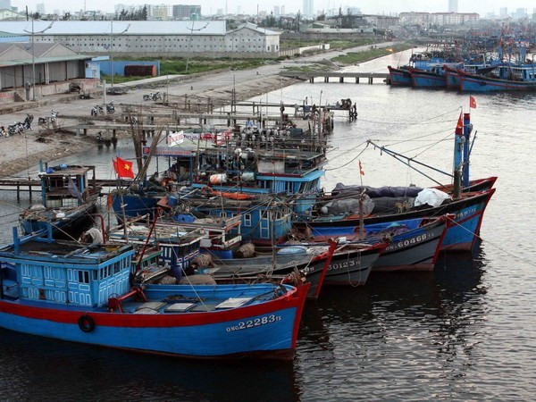 Quảng Ninh khẩn trương di dời dân đến nơi an toàn trước bão ảnh 1