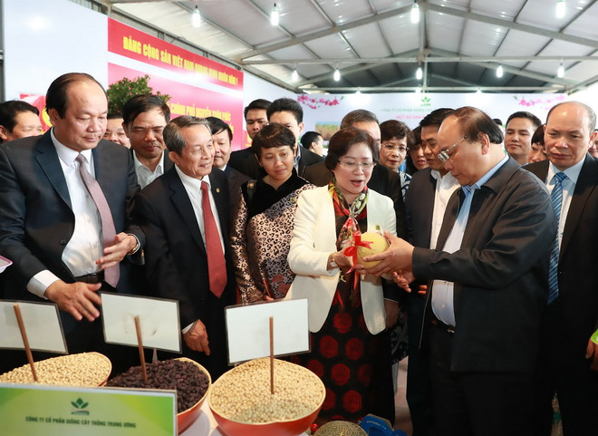 Thủ tướng sẽ trực tiếp giới thiệu nông sản Việt Nam ra thế giới ảnh 1