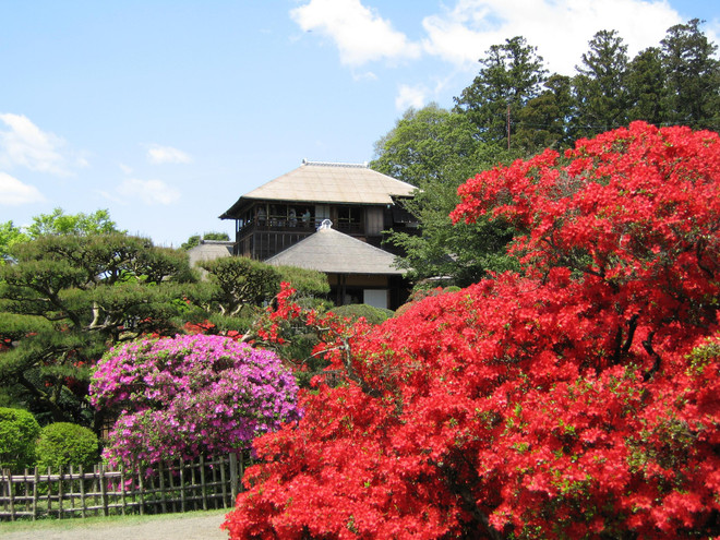 Cảnh sắc thiên nhiên biến đổi kỳ ảo qua 4 mùa ở xứ sở Mặt Trời mọc ảnh 9