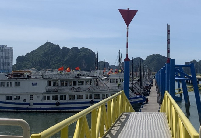 Hiện các du thuyền khai thác hoạt động tham quan và nghỉ đêm trên vịnh (cả vịnh Lan Hạ và vịnh Hạ Long) đều phải về neo đậu tại Quảng Ninh. Quang cảnh vắng lặng chưa từng có. (Ảnh: CTV/Vietnam+) Doanh nghiệp du lịch 'kêu cứu' trước chuỗi ngày ‘bão ở trong bão’ ảnh 1