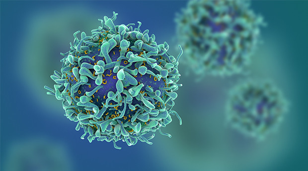 Phương pháp đột phá giúp ngăn chặn hiệu quả tế bào ung thư ảnh 1