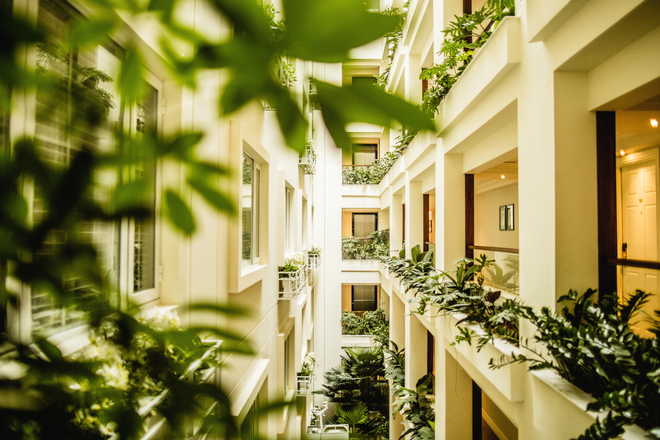 Apricot Hà Nội: Khách sạn trưng bày những bức tranh quý hiếm ảnh 4