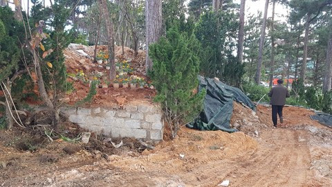 Ngang nhiên lấn chiếm hơn 800m2 đất rừng ngay cửa ngõ Đà Lạt ảnh 1