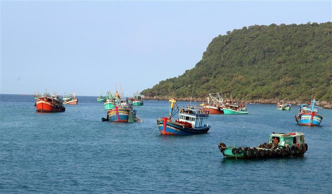 Hải sản rớt giá, ngư dân Quảng Ngãi vẫn kiên cường bám biển ảnh 1